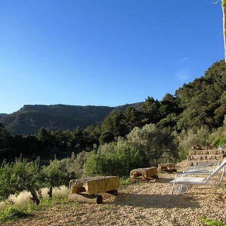 Mirabo De Valldemossa Valldemossa  Dış mekan fotoğraf